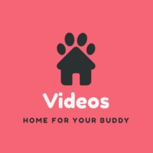 Video Vcs Bokep-terbaru